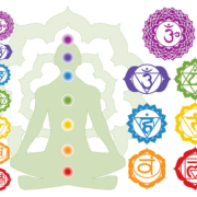 The Chakra System