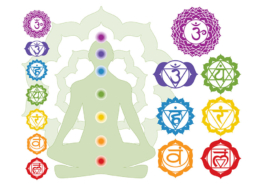 The Chakra System